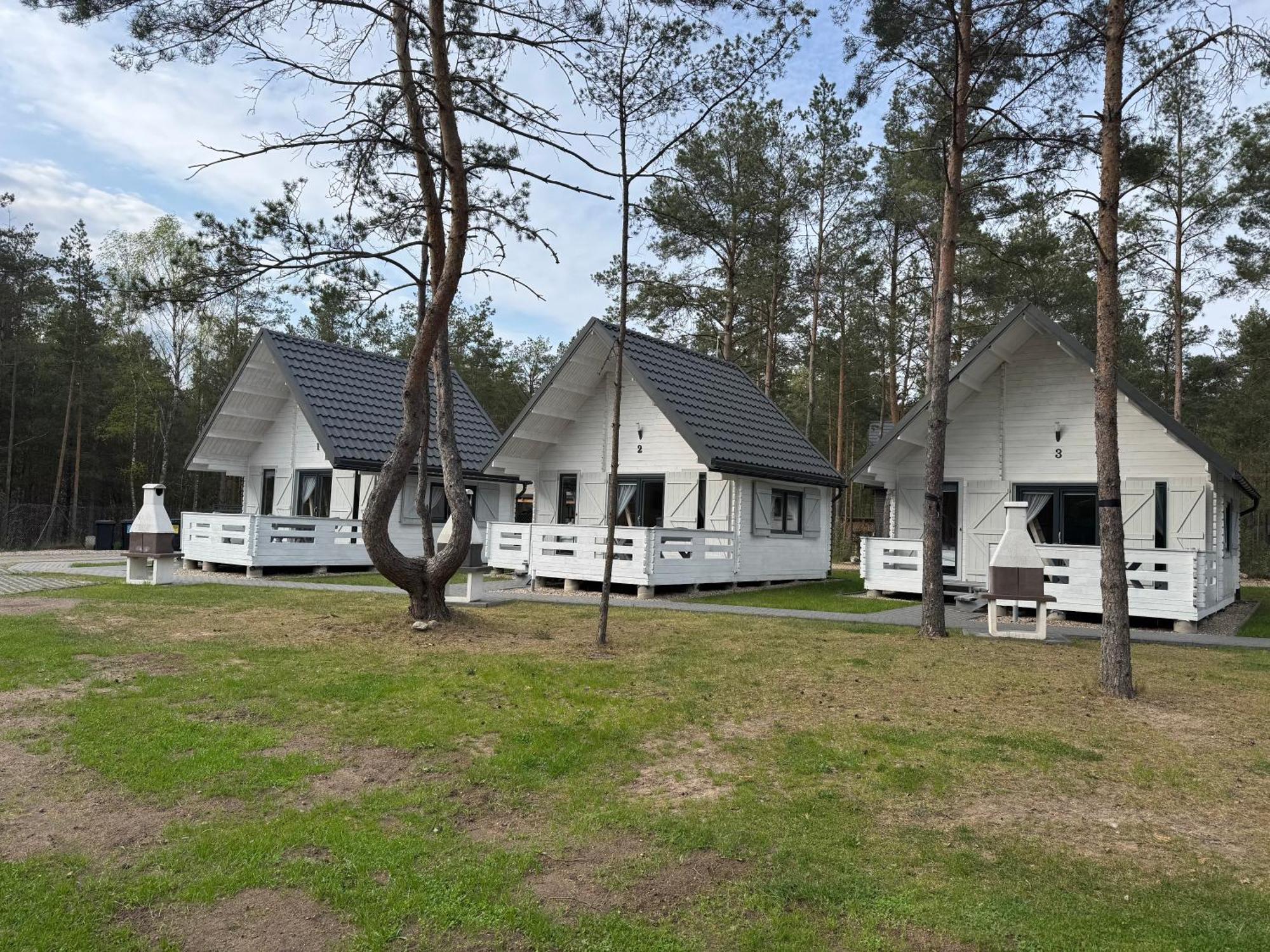 Villa Skrawek Nieba Borsk Exterior foto